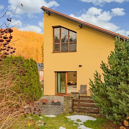 Apartman Hamrovka Velké Hamry 外观 照片